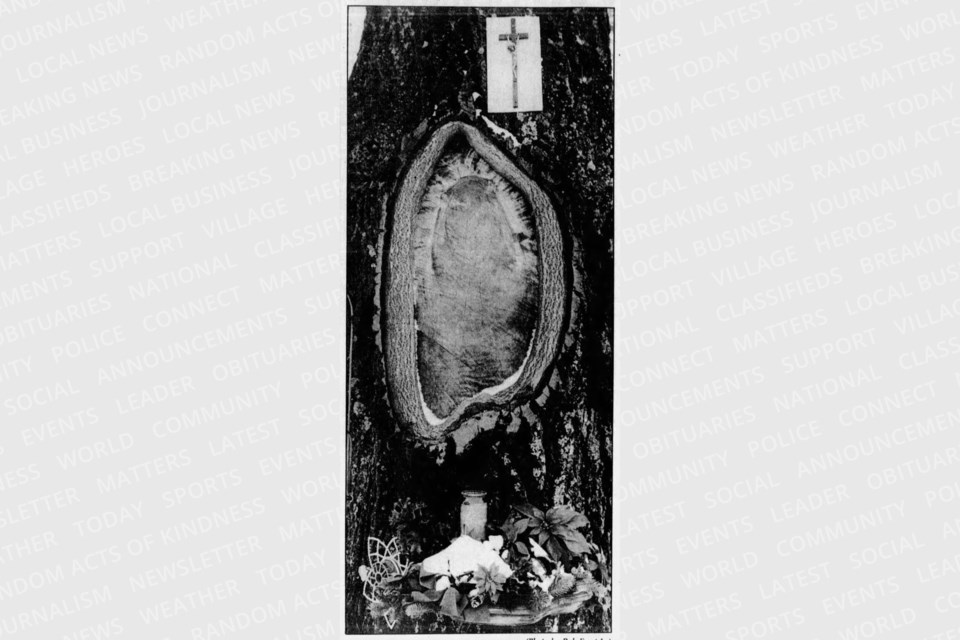 2024-03-17-holytreert