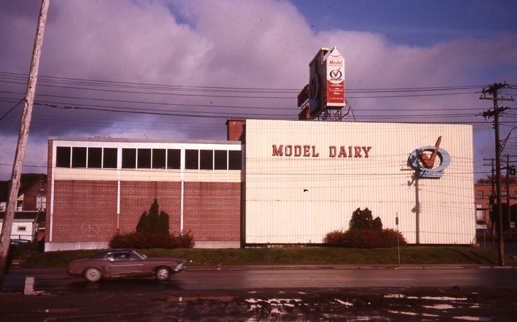 Model Dairy