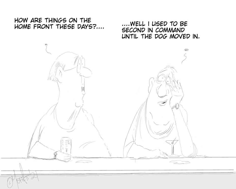 2021-09-19 Sunday funny: until the dog moved in