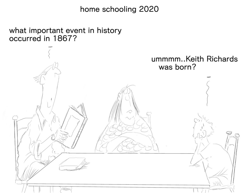 sunday funny may 24 2020 homeschooling
