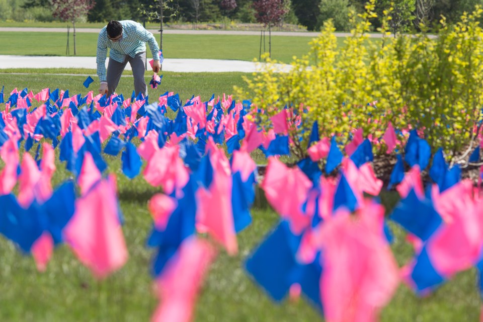 Joe Ruscio seen planting flags this morning at St. Mary's College. Each flag represents 10 of the estimated 100,000 abortions preformed each year in Canada (estimate by WeNeedALaw.ca). Kenneth Armstrong/SooToday