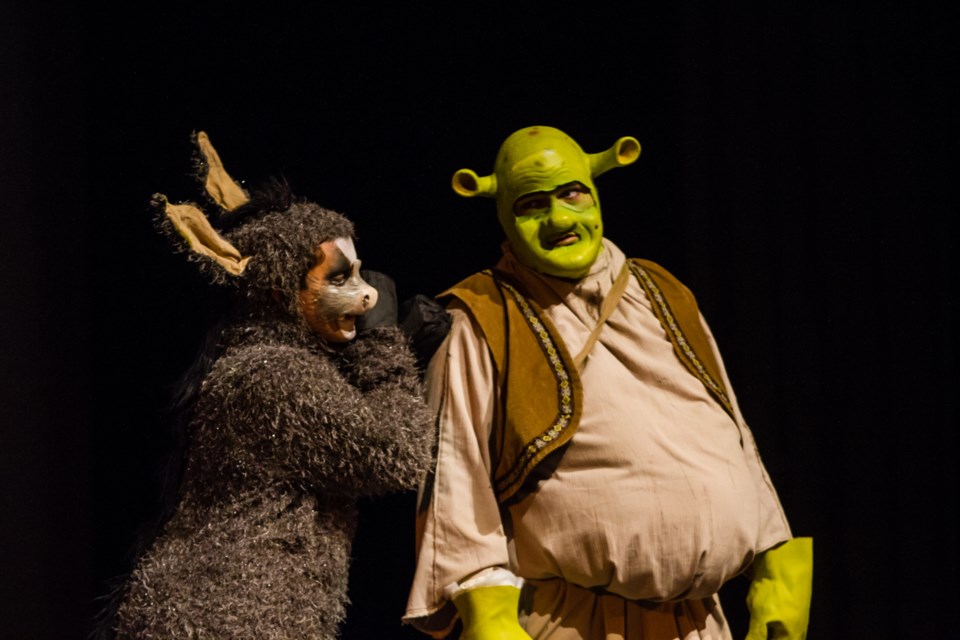 Dress rehearsal for Shrek the Musical at the Sault Community Theatre Centre on Tuesday, April 23, 2019. Donna Hopper/SooToday