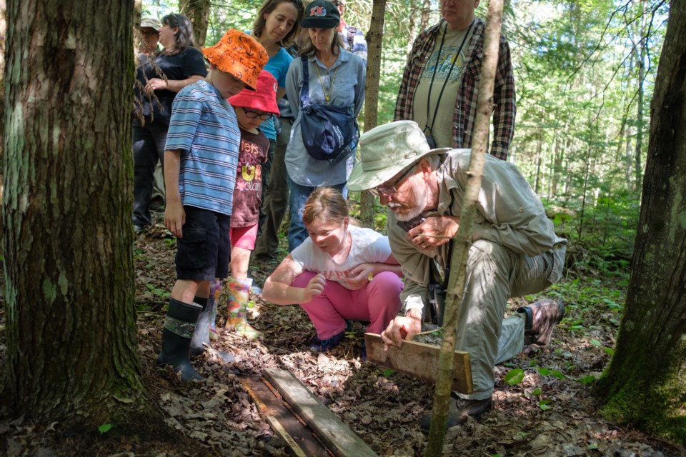 Sault Naturalist Don Hall shows his 'salamander boards' to children at the Sault Naturalist's 'Salamander Day' outing in Echo Bay on Saturday. Jeff Klassen/SooToday