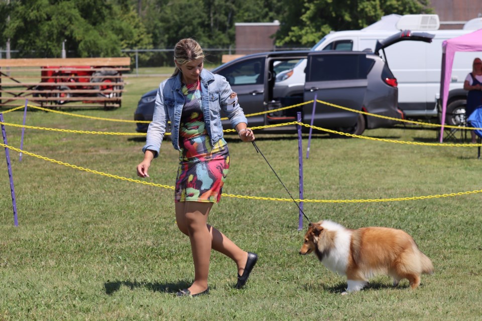The Sault Ste. Marie Kennel Club returned with its annual dog show outdoors at the Laird Fairgrounds this weekend.