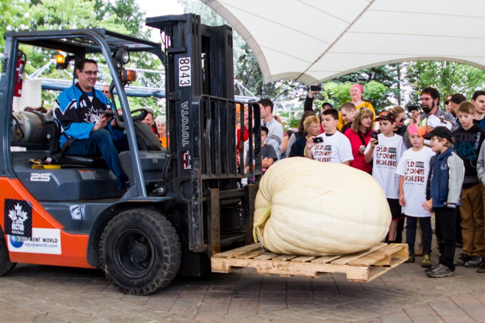 2016-10-01 Pumpkin weigh-off DMH-7