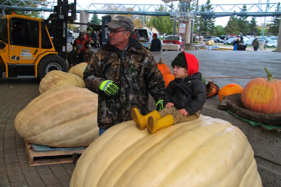 20180929-pumpkin weigh-off-DT-04