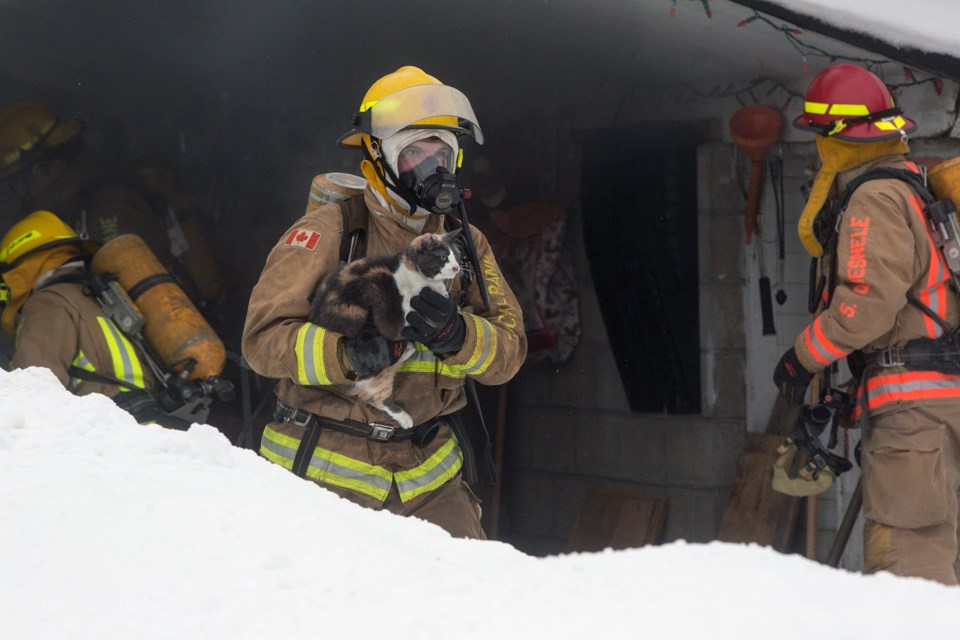 A firefighter seen carrying a cat from the scene of a burning Manitou Drive house on Jan. 13, 2017. Kenneth Armstrong/SooToday