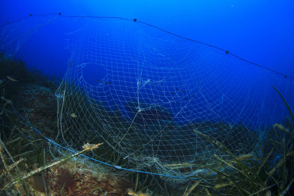 Abandoned gill net