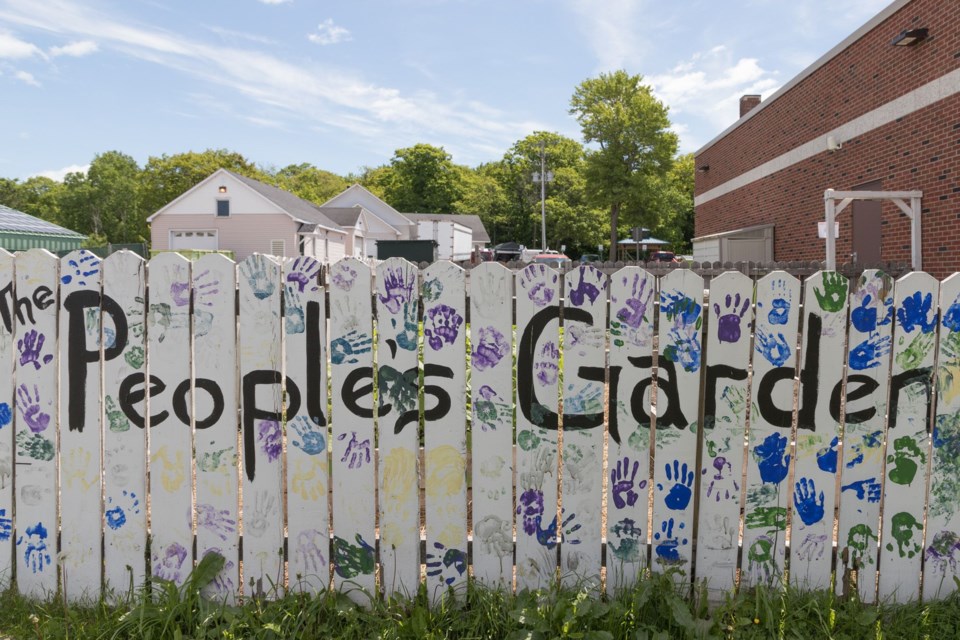 Algoma University Student Union's People's Garden. Violet Aubertin for SooToday