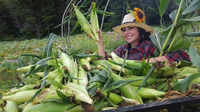 cornqueen