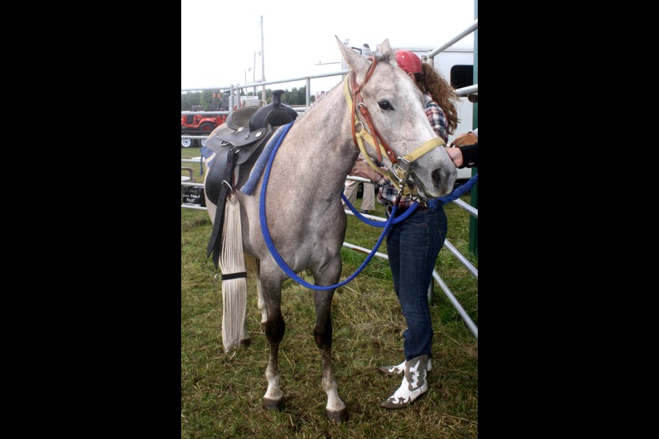 Hailey Bryan works with Ella, a 2-year-old from Sunset Ranch