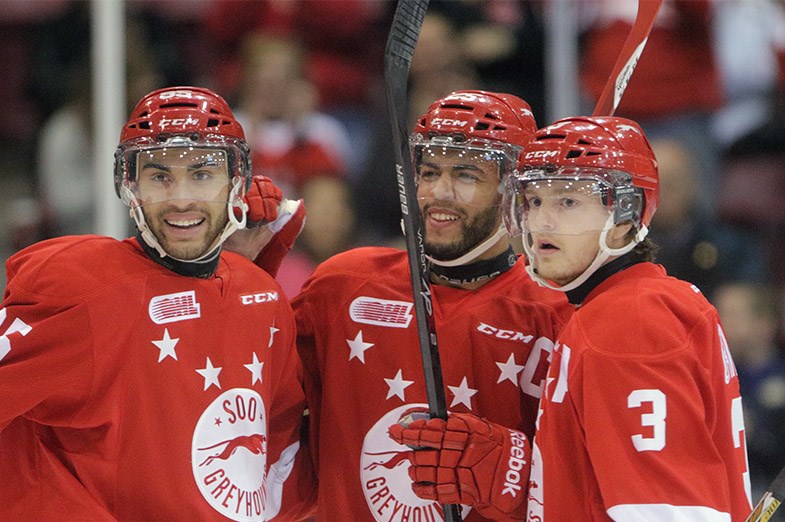 Soo Greyhounds players celebrate a first period goal by Darnell Nurse during a game against the visiting Windsor Spitfires on March 21, 2015 at the Essar Cenre in Sault Ste. Marie. Kenneth Armstrong/SooToday