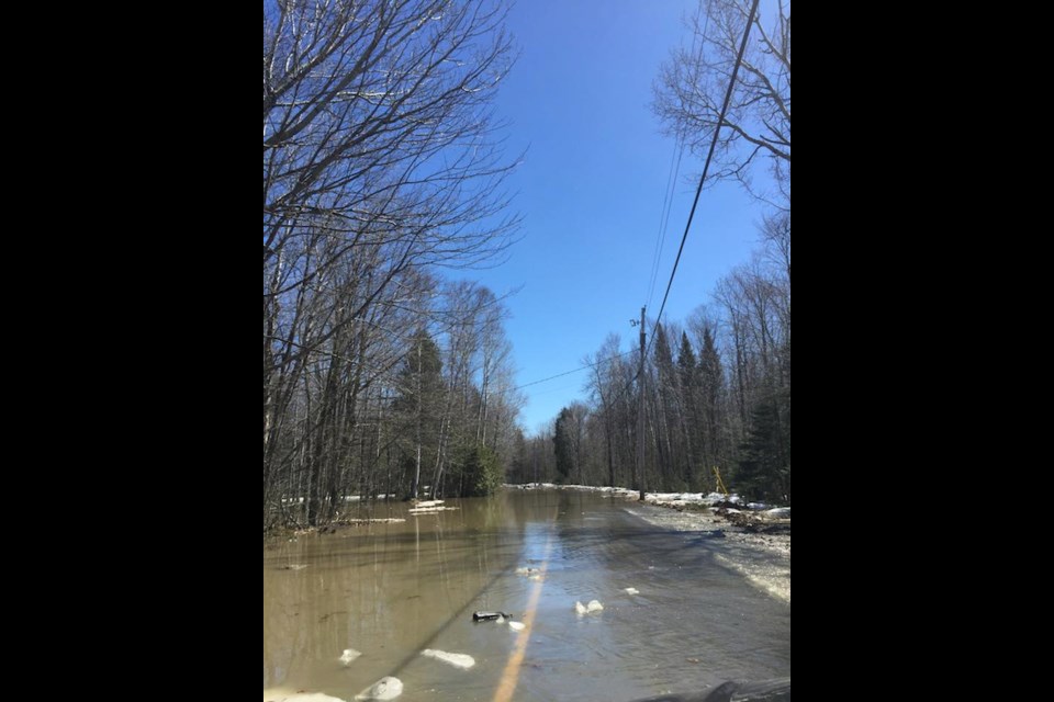 Pine Shores Road is pictured in this photo submitted by reader Jason Collins.