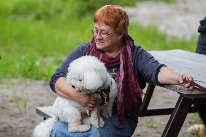 Happy, happy dogs (9 photos) - Sault Ste. Marie News