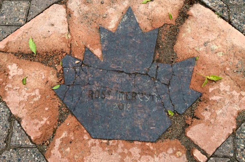 Ross Mervyn's three-year-old maple leaf on Sault Ste. Marie's Walk of Fame shows the effects of Northern Ontario winters. David Helwig/SooToday.