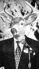 DeerPolitician