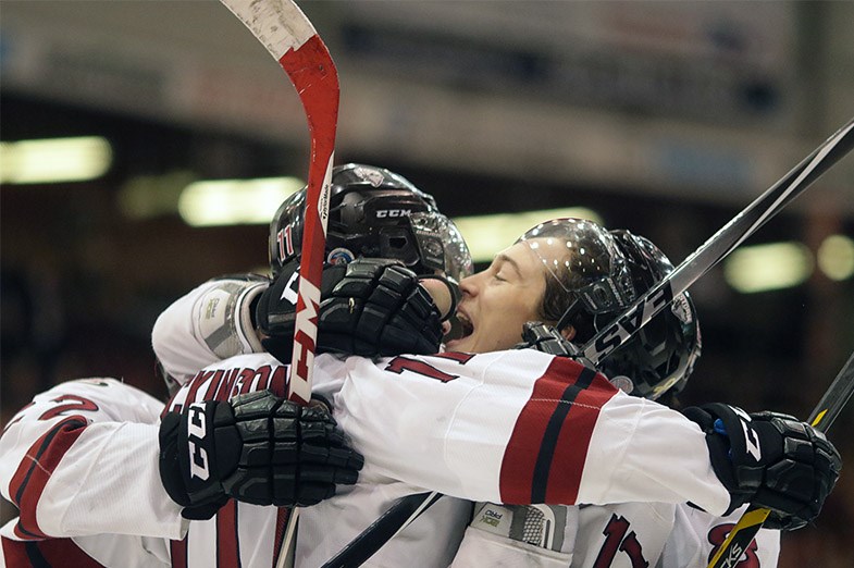 Guelph Storm players celebrate a second period goal against the Soo Greyhounds on January 16, 2015 at the Essar Centre in Sault Ste. Marie. Kenneth Armstrong/SooToday