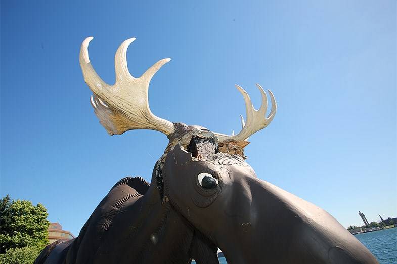 Damage to Bruce the Moose, who stands at the waterfront next to Docks Riverfront Grill. SooToday.com/Kenneth Armstrong
