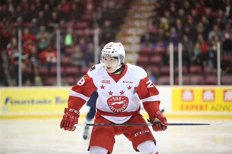 Soo Greyhounds forward Sergey Tolchinsky seen during a game at the Essar Centre in Sault Ste. Marie on November 5, 2014. Kenneth Armstrong/SooToday