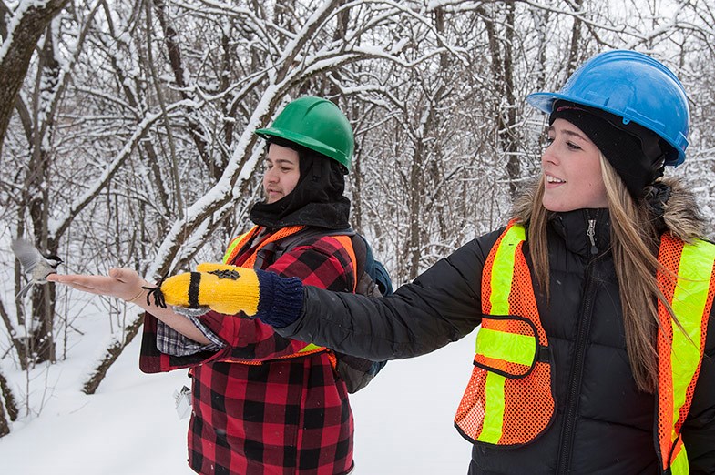 Sault College students feed a chickadee on Whitefish Island March 20, 2014.