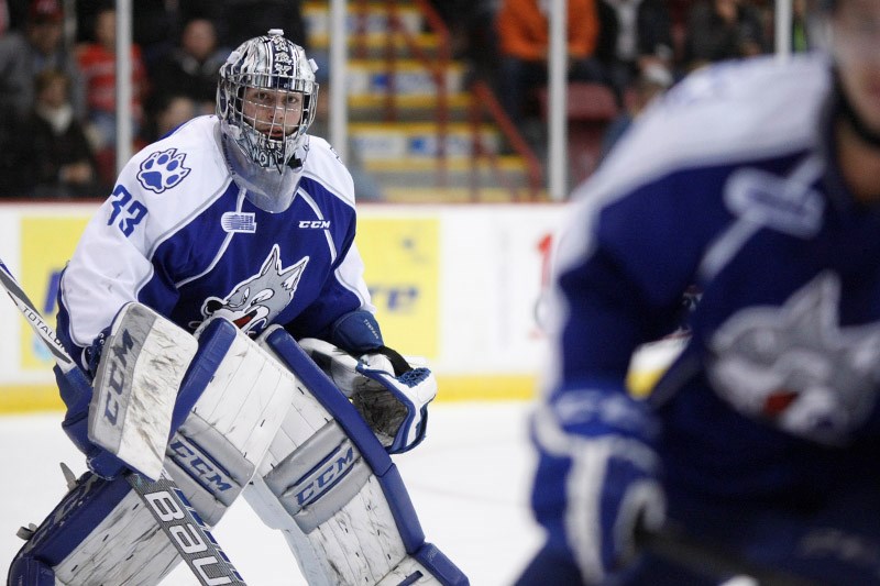 Sudbury Wolves goaltender Troy Timpano seen during a game against the Soo Greyhounds at the Essar Centre in Sault Ste. Marie on October 22, 2014. Timpano had 23 saves but allowed 7 goals against in the 7-2 loss against the Greyhounds. Kenneth Armstrong/SooToday