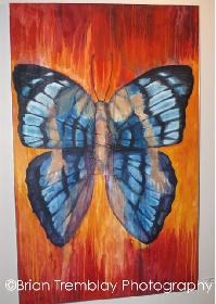 arts-butterflyloplops