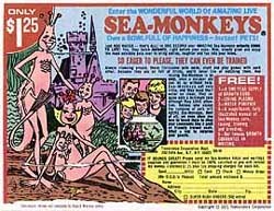 arts-seamonkeys