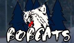 BobcatsLogo