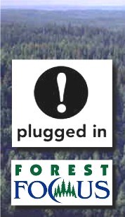 ForestFocusLogo