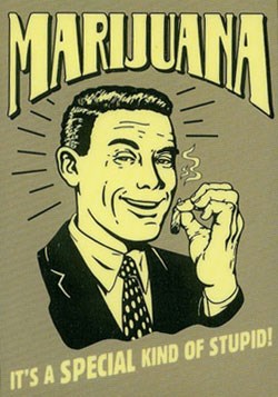 MarijuanaStupid