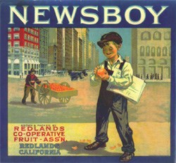 NewsboyFruit