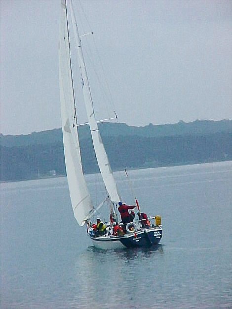 YachtRace41