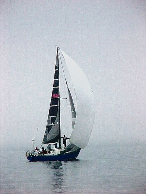 YachtRace46