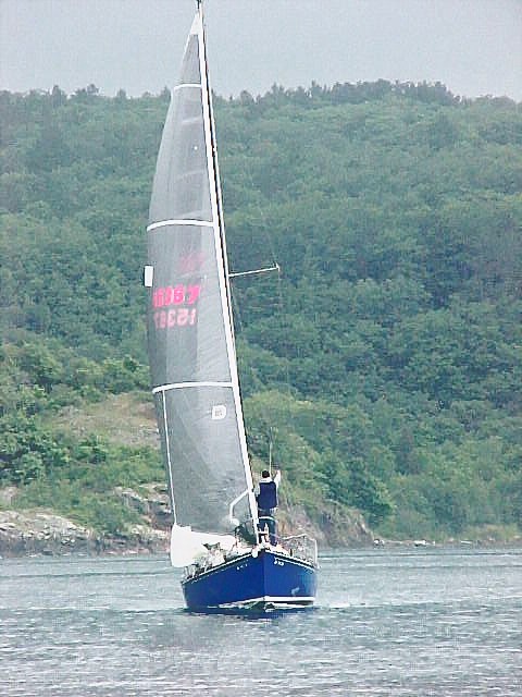 YachtRace50
