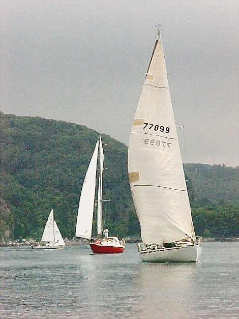 YachtRace51