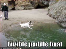paddle_boat_dog