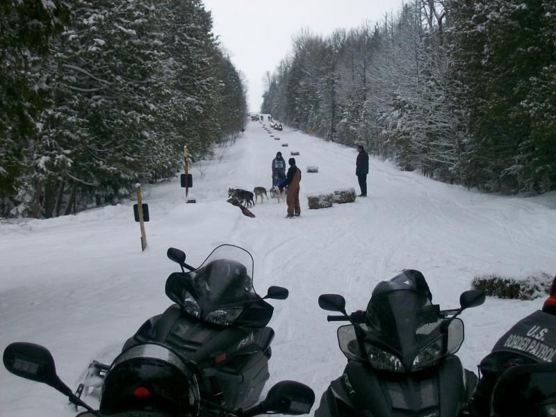 Drummond Island Dog Sled Races