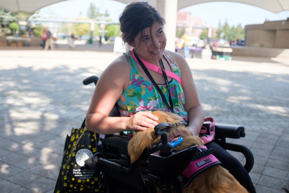 Jurnee Stadnisky's  golden retriever, service-dog-in-training, Beka demonstrates how she puts her head in Jurnee's lap to help her with anxierty. Jeff Klassen/SooToday