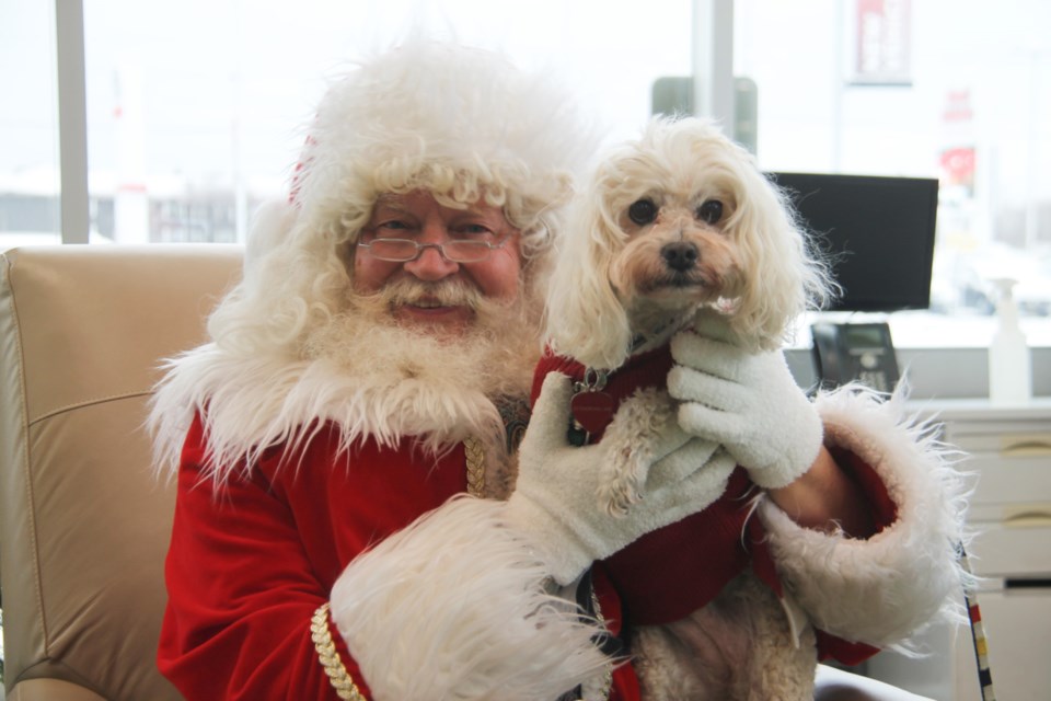 Santa Claus with Lululemon, a 15-year-old Cockapoo while visiting children at Northside Toyota, Dec. 3, 2022.