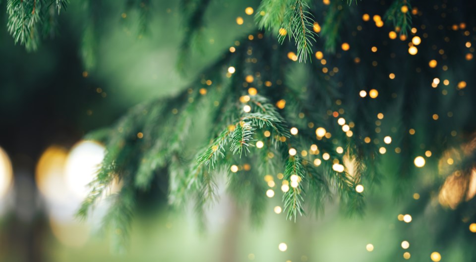 christmas lights AdobeStock_372953356