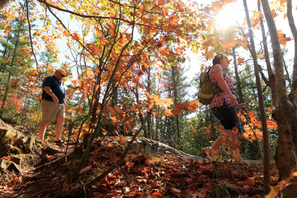 Colourful Kinsmen Park (26 fall photos) Photo Gallery  Sault Ste