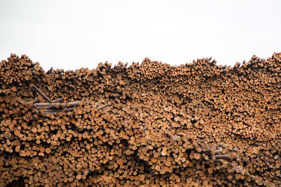20140531 Raw Lumber in Hearst KA