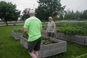 Sault steps up to rescue 22 community garden beds