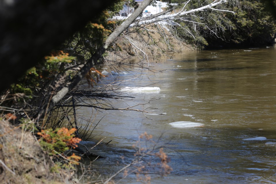 2014-04-23 Goulais River Flooding