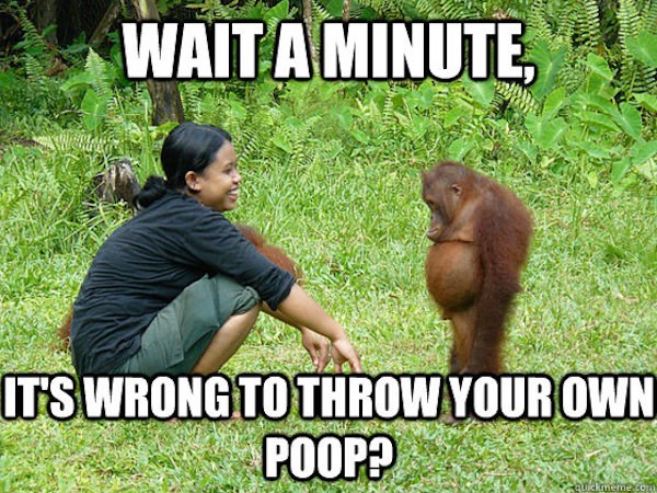 poop throwing