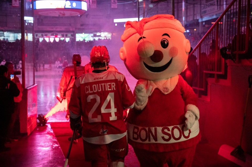 mrbonsoogreyhounds