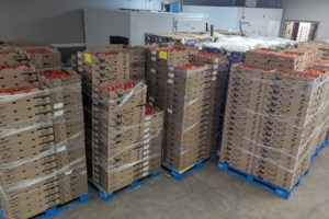 Don’t let these tomatoes, peppers and grapes go sour