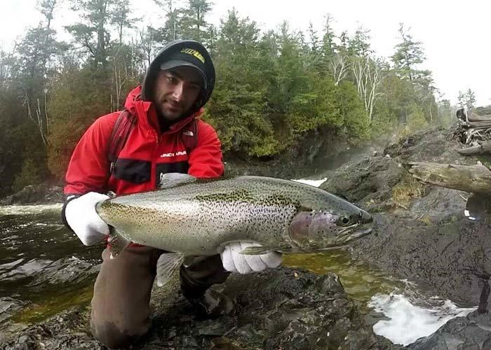 kking_steelhead_redjacket