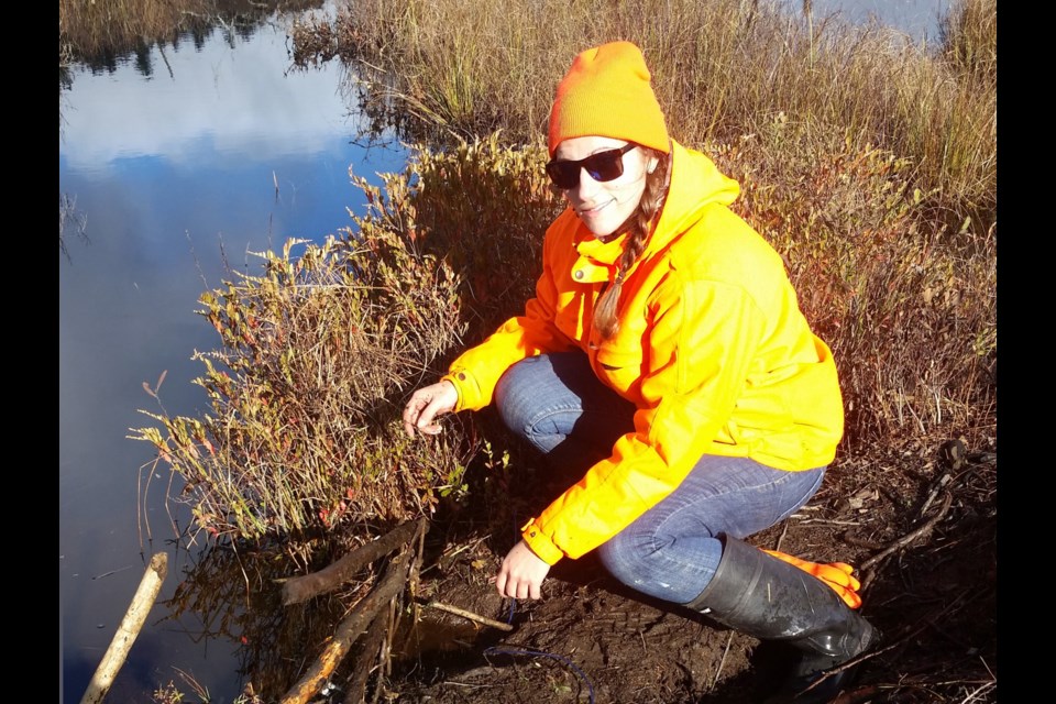 Lauren Tonelli, Ontario Fur Managers Federation general manager, sets a beaver trap in 2017. 