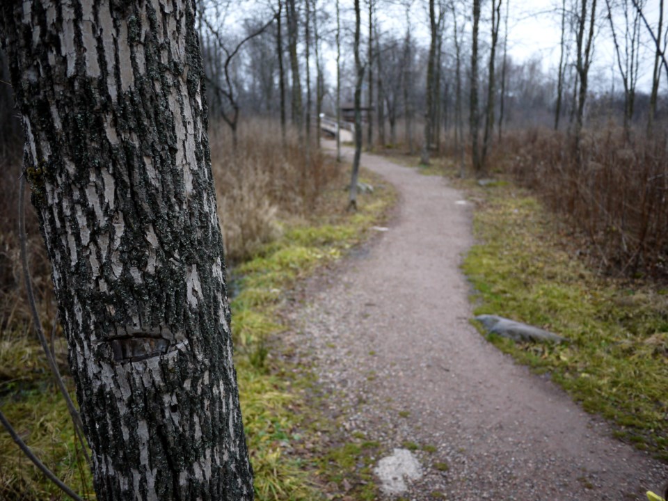 Whitefish trail stockMP